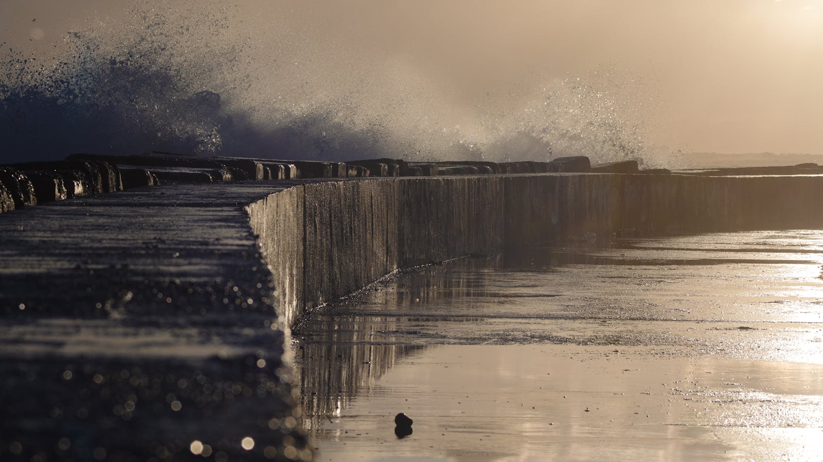 Bulkheads & Seawalls